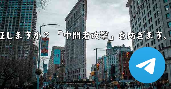 Telegram は秘密のチャット パーティーの暗号化キーをどのように検証しますか？ 「中間者攻撃」を防ぎます。 - テレグラムユーザーガイドチュートリアル