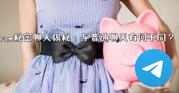 Telegram秘密聊天揭秘：与普通聊天有何不同？ - テレグラムユーザーガイドチュートリアル