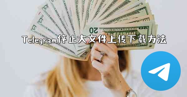 Telegram停止大文件上传下载方法 - テレグラムユーザーガイドチュートリアル