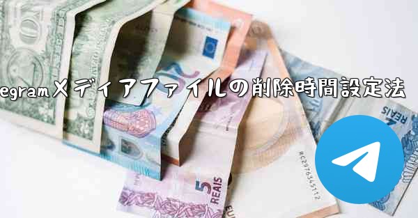 Telegramメディアファイルの削除時間設定法 - テレグラムユーザーガイドチュートリアル