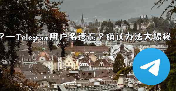 Telegram のユーザー名を忘れてしまいました。どこで確認できますか？—Telegram用户名遗忘？确认方法大揭秘 - テレグラムユーザーガイドチュートリアル