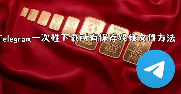 Telegram に保存されたすべてのメディア ファイルを一度にダウンロードするにはどうすればよいですか？-Telegram一次性下载所有保存媒体文件方法 - テレグラムユーザーガイドチュートリアル