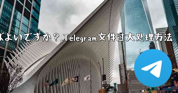 Telegram が「ファイルが大きすぎるため処理できません」というプロンプトを表示した場合はどうすればよいですか？,Telegram文件过大处理方法 - テレグラムユーザーガイドチュートリアル