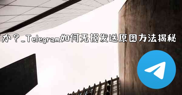 telegram はどのようにして元の画像を圧缩せずに送信しますか？_Telegram如何无损发送原图方法揭秘 - テレグラムユーザーガイドチュートリアル