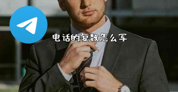 电话的复数怎么写 - テレグラムユーザーガイドチュートリアル