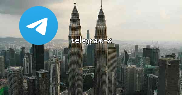 telegram-x - テレグラムユーザーガイドチュートリアル