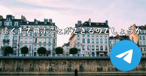 折り紙飛行機はどうすれば最も遠くまで飛ぶことができるのでしょうか - テレグラムユーザーガイドチュートリアル