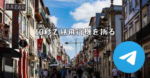 10秒で紙飛行機を折る - テレグラムユーザーガイドチュートリアル