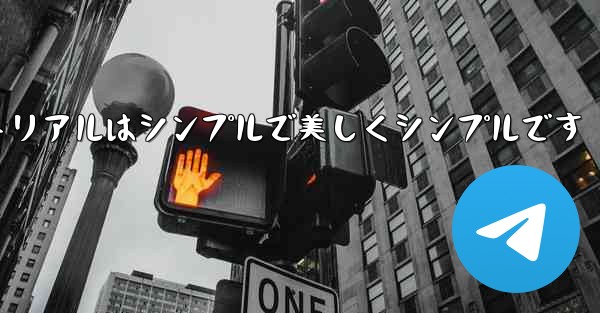 国内での飛行機チャット ソフトウェアの使用方法に関するビデオ チュートリアルはシンプルで美しくシンプルです - テレグラムユーザーガイドチュートリアル