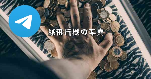 紙飛行機の写真 - テレグラムユーザーガイドチュートリアル