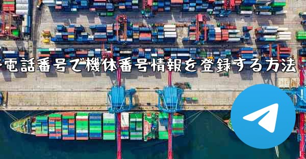 国内携帯電話番号で機体番号情報を登録する方法 - テレグラムユーザーガイドチュートリアル