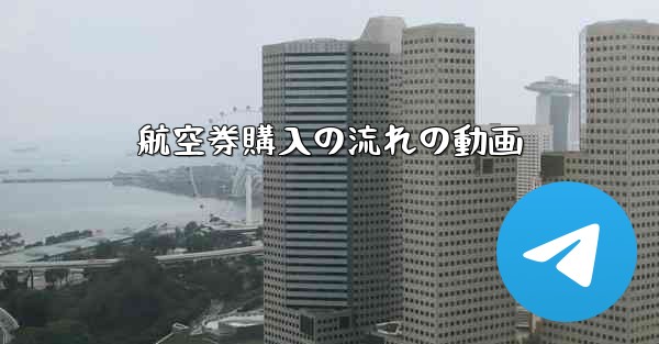 航空券購入の流れの動画 - テレグラムユーザーガイドチュートリアル
